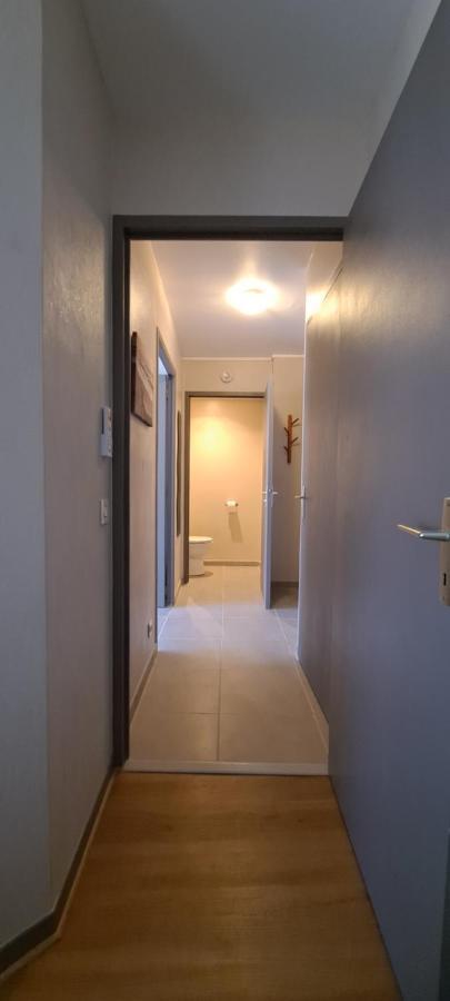 Appart T2 Standing Tout Confort Avec Balcon - Parking En Option 里昂 外观 照片